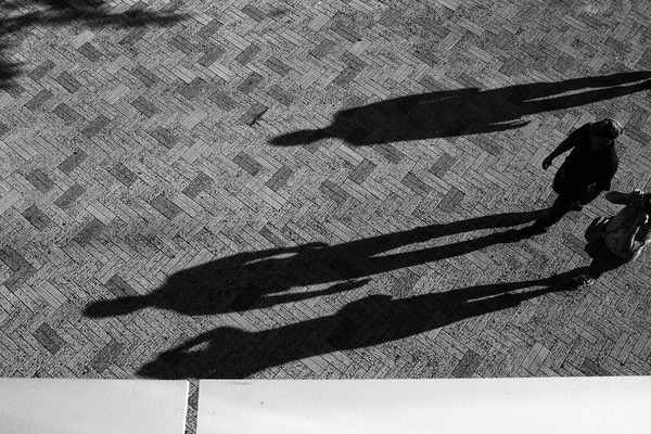 Shadows on the ground